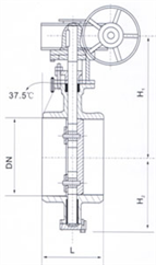 對(duì)悍式硬密封蝶閥產(chǎn)品圖    