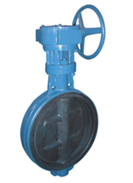 對夾式全襯膠蝶閥產品圖